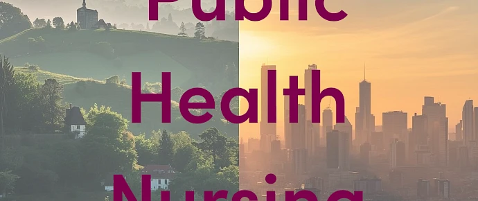 Public Health Nursing
